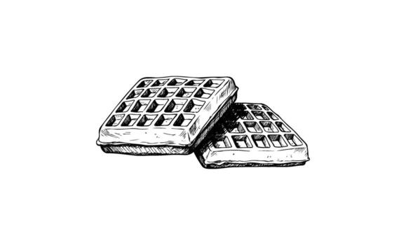 Hand-drawn sketch of two square waffles with crispy texture vector
