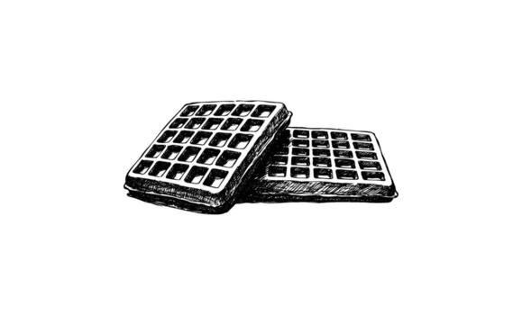 Black and white sketch of two square waffles with grid pattern vector