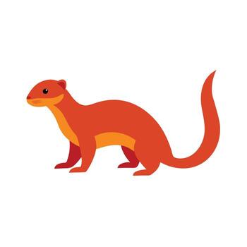 Mongoose on White Background vector