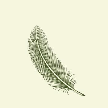 Elegant feather composed of tiny dots with a delicate curvature and detailed barbs, set against a soft, neutral vector