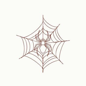 Intricate spider web with a detailed spider at the center, showcasing fine silk threads and symmetrical design on a plain vector