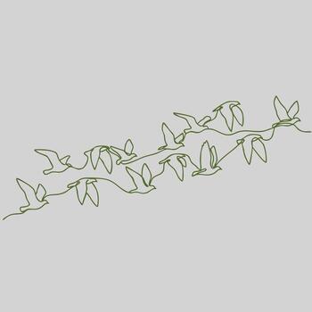 Delicate line drawing of a winding vine with small leaves and buds, emphasizing simplicity and natural elegance in a minimalist style vector