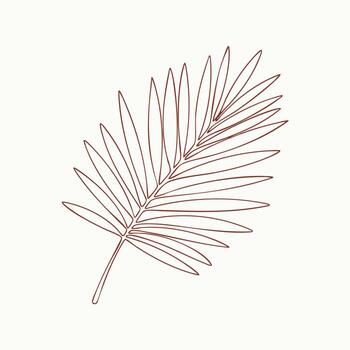 Minimalist Line Drawing of a Single Palm Leaf with Fine Details and Elegant Curves on a Light vector