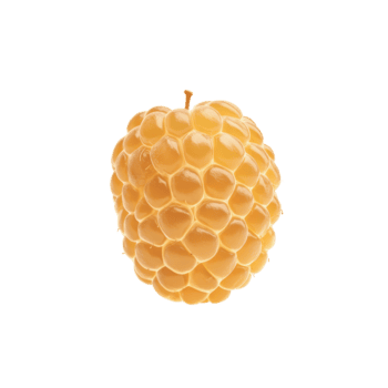 A single golden raspberry isolated on transparent background, showcasing its unique texture and color png
