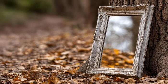 An old mirror is sitting on the ground near a tree photo