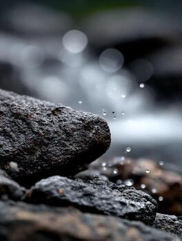 A rock with water droplets on it photo