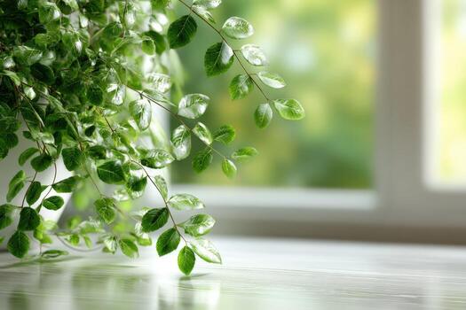 A plant is sitting on a table next to a window photo