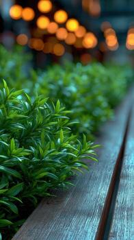 A close up of a bench with plants on it photo