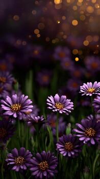 Purple flowers are in the foreground with a bokeh effect photo