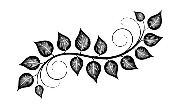 Black and white stylized vine with leaves and swirls on a white background branch curl vector