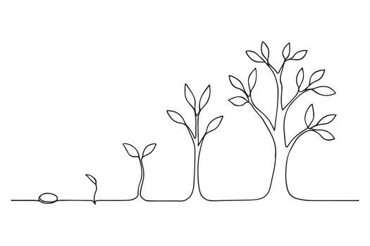 seed journey to a full grown tree vector