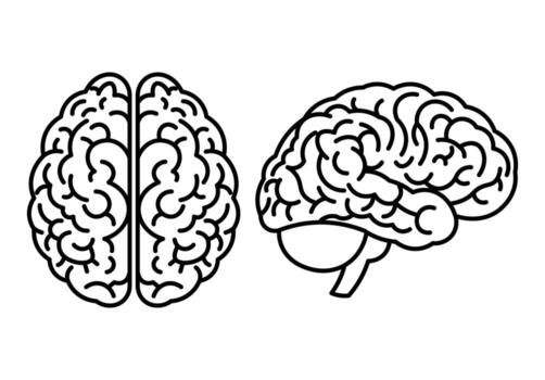 Brain with Circuit Lines vector