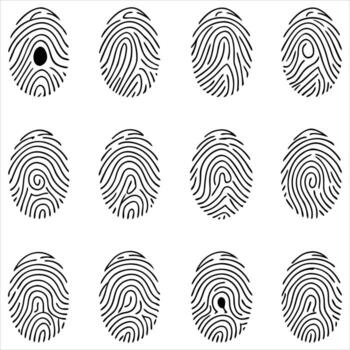 Fingerprint pattern variations identification unique vector