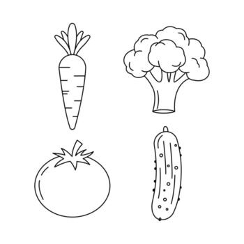 Vegetable Outline Fresh Carrot, Broccoli, Tomato, and Cucumber Illustrations in EPS Format for Healthy Eating Concepts vector