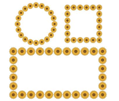 Sunflowers frames collection in round, square and rectangle for decorative element vector