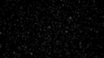 abstrato fundo do flutuando partículas em uma Sombrio pano de fundo. video