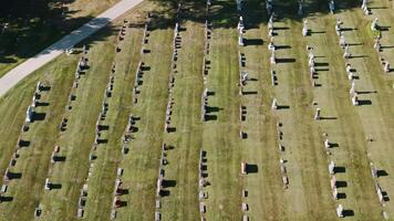 A drone view showing rows of tombs and place of sorrow and memory. Cemetery on sunny day video
