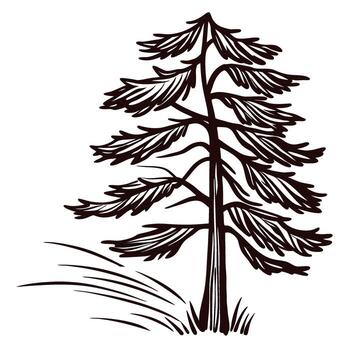 Hand drawn stylized pine tree sketch with textured branches and grass accents on white background vector