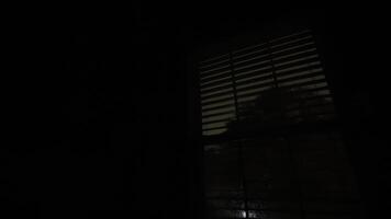 Visualizza di il finestra con persiane a il notte. lampeggiante alleggerimento di temporale riflettendo nel il bicchiere. vicino su tiro a partire dal dentro il edificio video