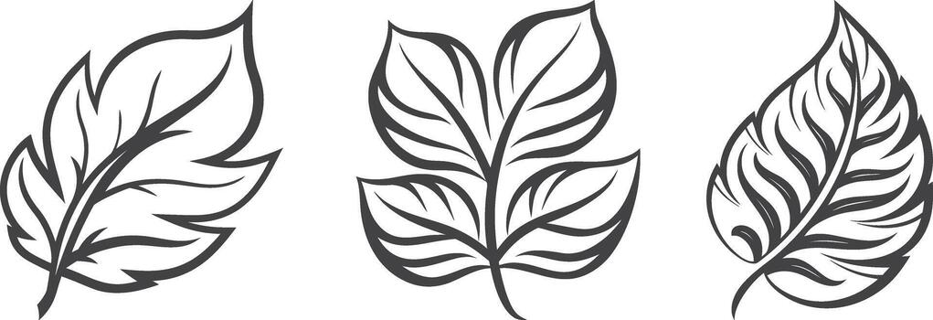 Minimalist leaf line art design vector