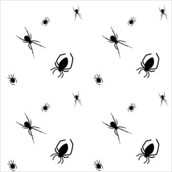 Spiders crawling on a white background during a calm afternoon vector