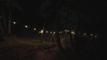 vagt belyst väg i mörk skog upplyst förbi sträng lampor hängande mellan träd i tyst nattetid miljö video