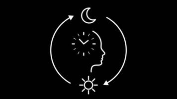 cirkadiska rytm. slinga animering med mänsklig profil, klocka, Sol och måne cykel. begrepp av cirkadiska hälsa, kropp klocka, biologisk rytm, sömn och vakna cykel. alfa kanal, grön skärm bakgrund video