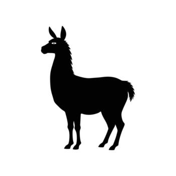 A stark black silhouette of a llama standing against a clean white background showcasing its distinctive profile. vector