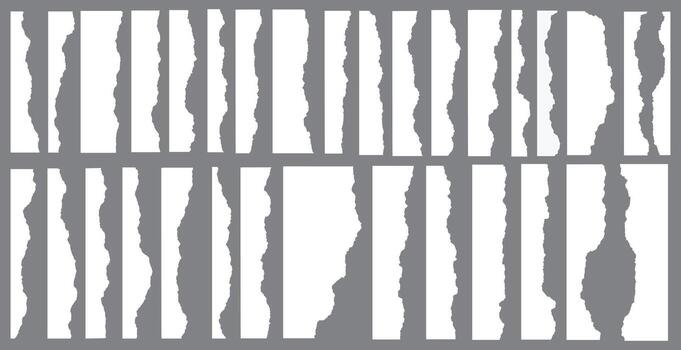 torn paper rip texture background vector