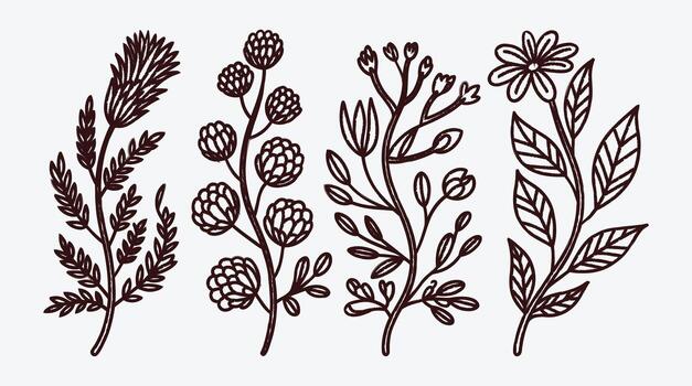 Hand drawn floral elements for rustic and elegant design projects vector