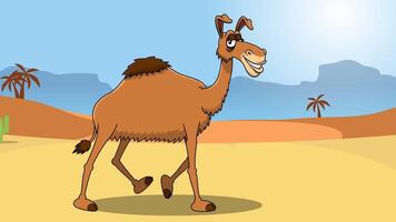 rolig kamel tecknad serie karaktär leende och gående i öken- med kaktus och handflatan träd video