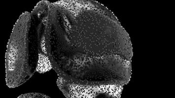 Abstract 3d Rendering Textured Surface video