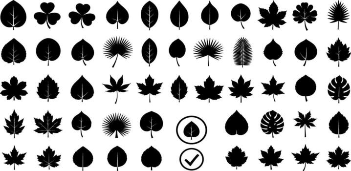 Diverse collection of black and white leaf silhouettes, showcasing various shapes and botanical forms for design elements vector