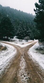 Nevado bosque la carretera tenedor foto