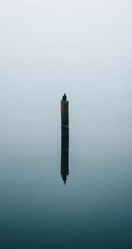 Still, reflective water with a vertical, dark object photo