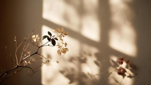 Sunlight casts shadows on a pale wall, a delicate branch with muted flowers photo