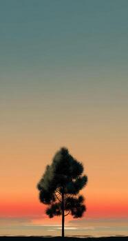 Silhouetted tree at sunset photo