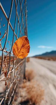and keyword list based on the image

 Lone autumn leaf caught on chain-link fence with desert landscape, road, and bright blue sky in background. photo