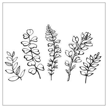 Set of botanical doodle elements. Collection of branches in line art. vector