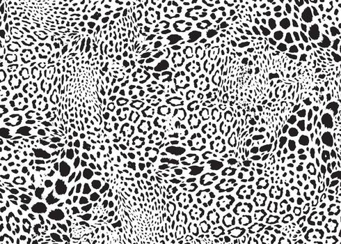 monocromo leopardo leopardo modelo diseño antecedentes vector