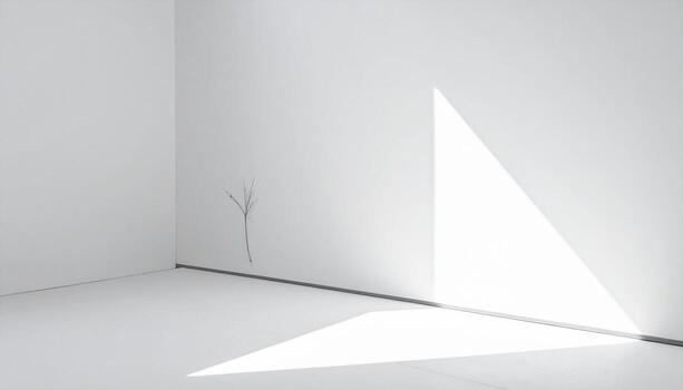 Minimalist White Room with Sunlight and a Single Branch Stark Simplicity. photo