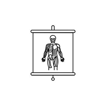Detailed skeletal system diagram on presentation screen for medical education and anatomical studies, ideal for science and biology learning resources vector