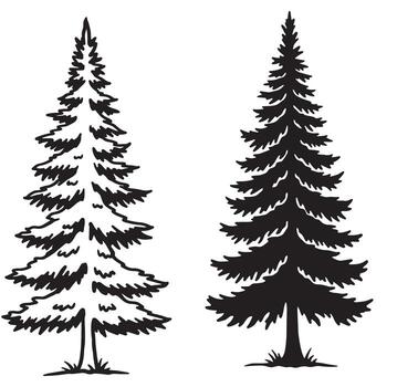 Silhouetted evergreen trees illustration in outline and solid black with white background vector