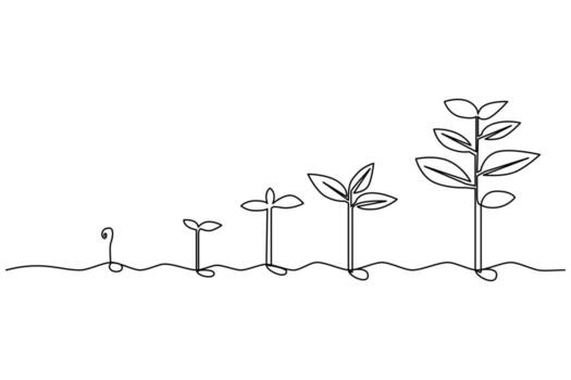 One line drawing of a growing tree in minimalist continuous style simple outline art vector