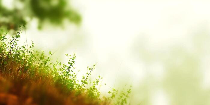 A detailed view of fresh green foliage growing on an earthy brown ground with a soft light green and white blurred background photo