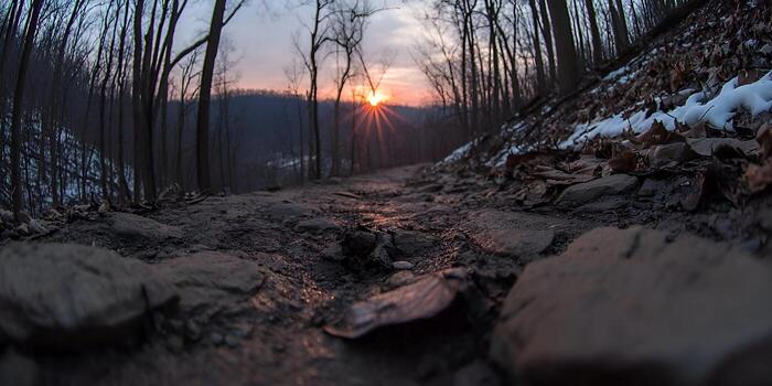 A serene forest path winds through bare trees with the sun setting behind distant hills casting a warm glow photo