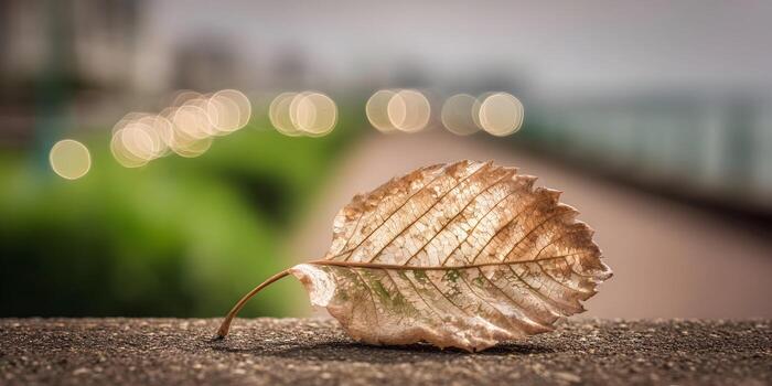 A detailed close up of a dry brown leaf with intricate veins resting on a textured surface and soft bokeh lights in the background photo