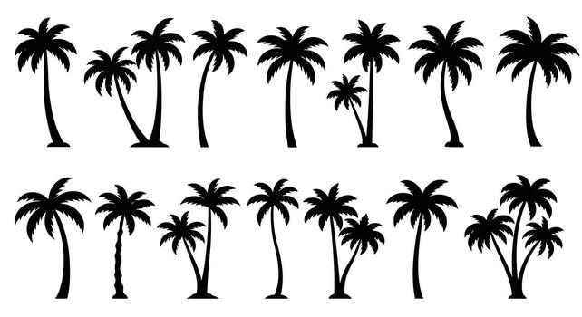 Collection of Silhouetted Palm Trees in Various Sizes and Styles. vector