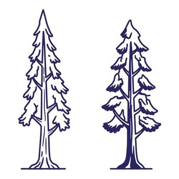 mano dibujado contorno ilustraciones de dos hojas perennes arboles con detallado ramas y agujas vector