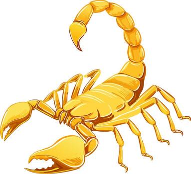 Golden scorpion with raised tail and sharp claws on white background vector
